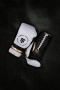 Azteca Imperial Padding Lace Up Training Gloves