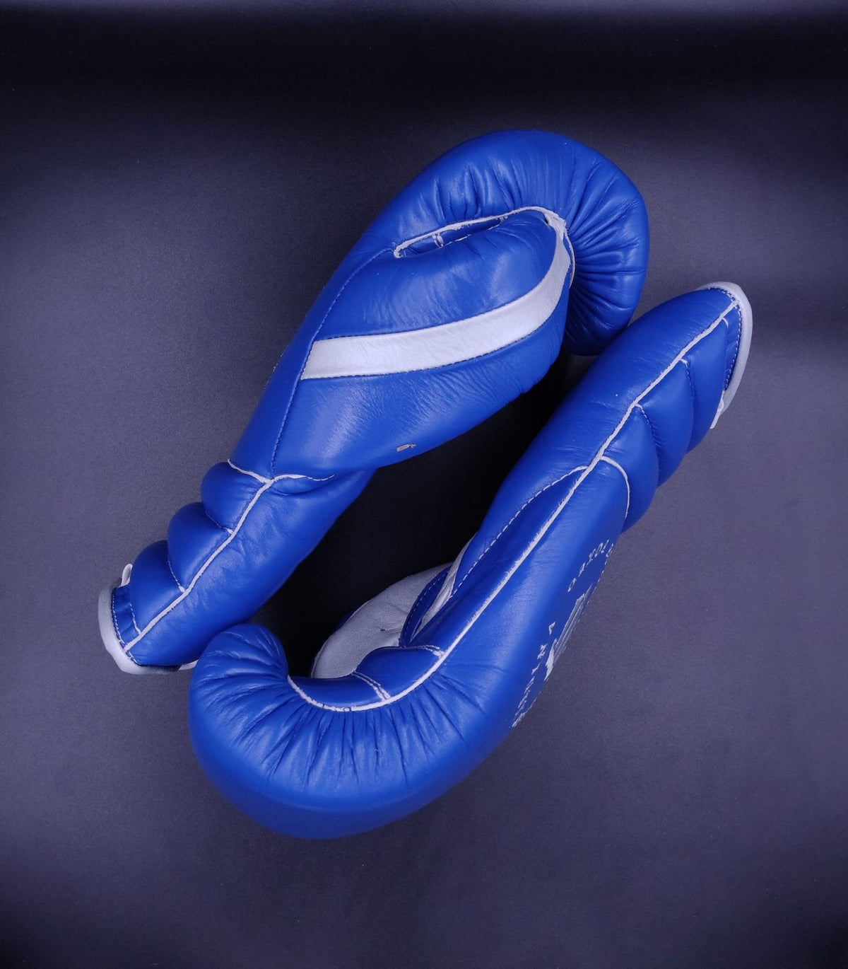 Blue and Silver Pu Padding Training Gloves